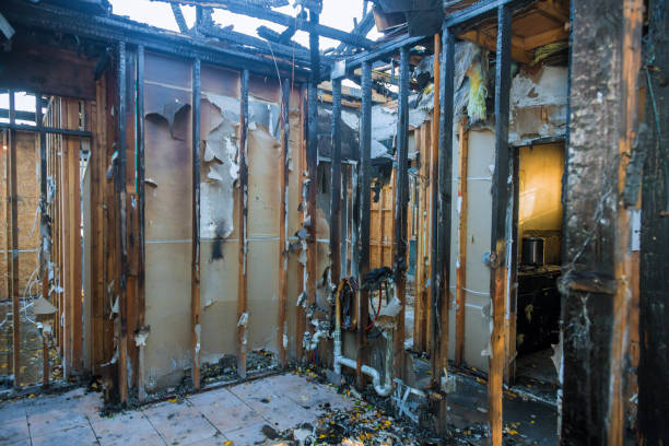 Professional Fire Damage Cleanup technician working in Glenview, KY